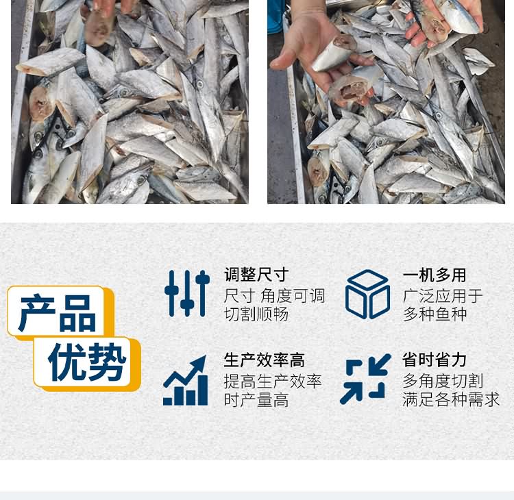 艾博馳ABCH-SQ69切魚段機(jī)(雙通道)9