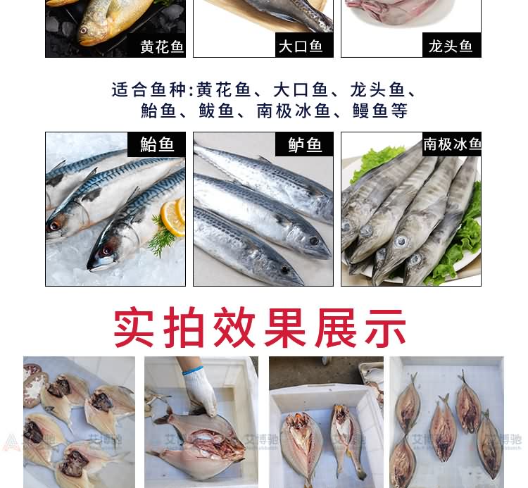 艾博馳ABCH-KP28小型二枚開(kāi)片殺魚(yú)機(jī)5